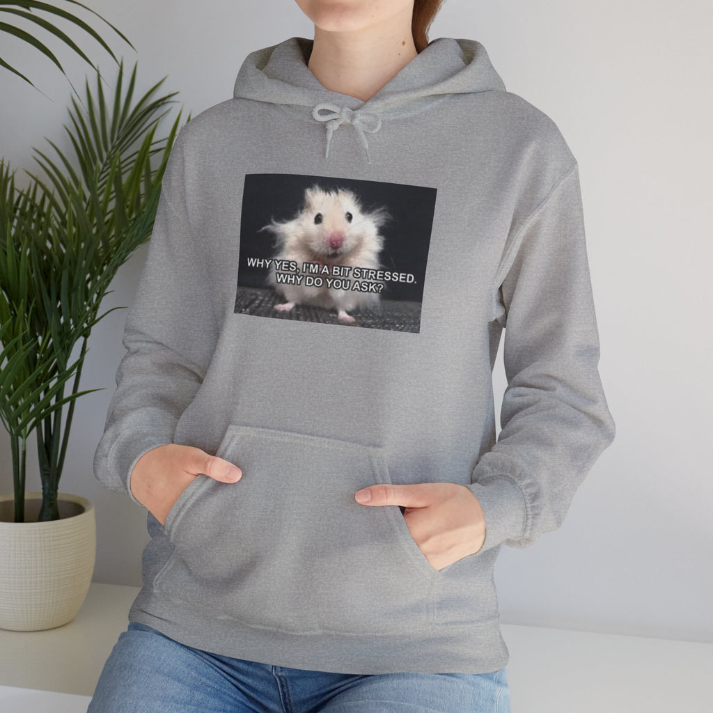 Hoodie — Cute Fluffy Hamster Graphic "Look Different" Pullover