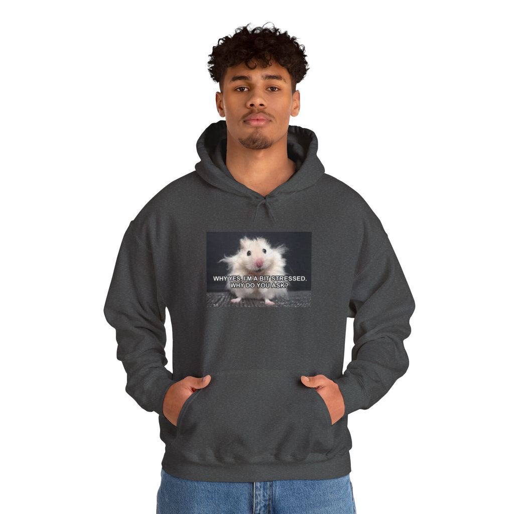 Hoodie — Cute Fluffy Hamster Graphic "Look Different" Pullover