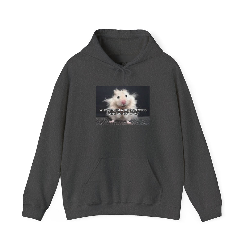 Hoodie — Cute Fluffy Hamster Graphic "Look Different" Pullover