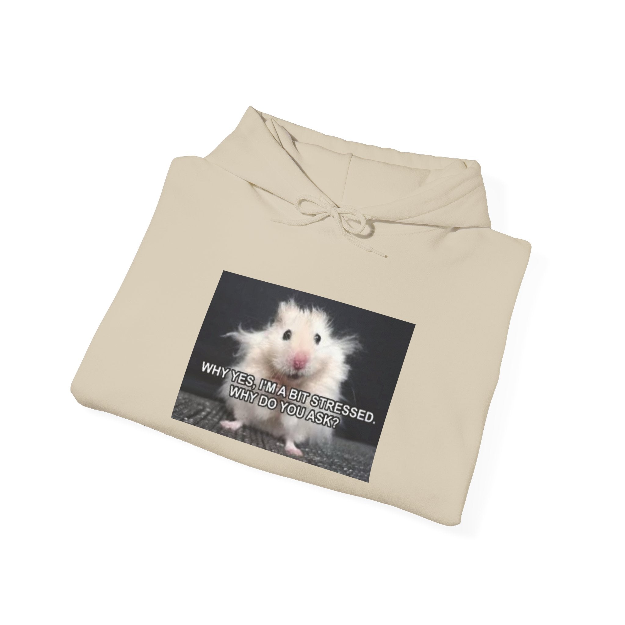 Hoodie — Cute Fluffy Hamster Graphic "Look Different" Pullover