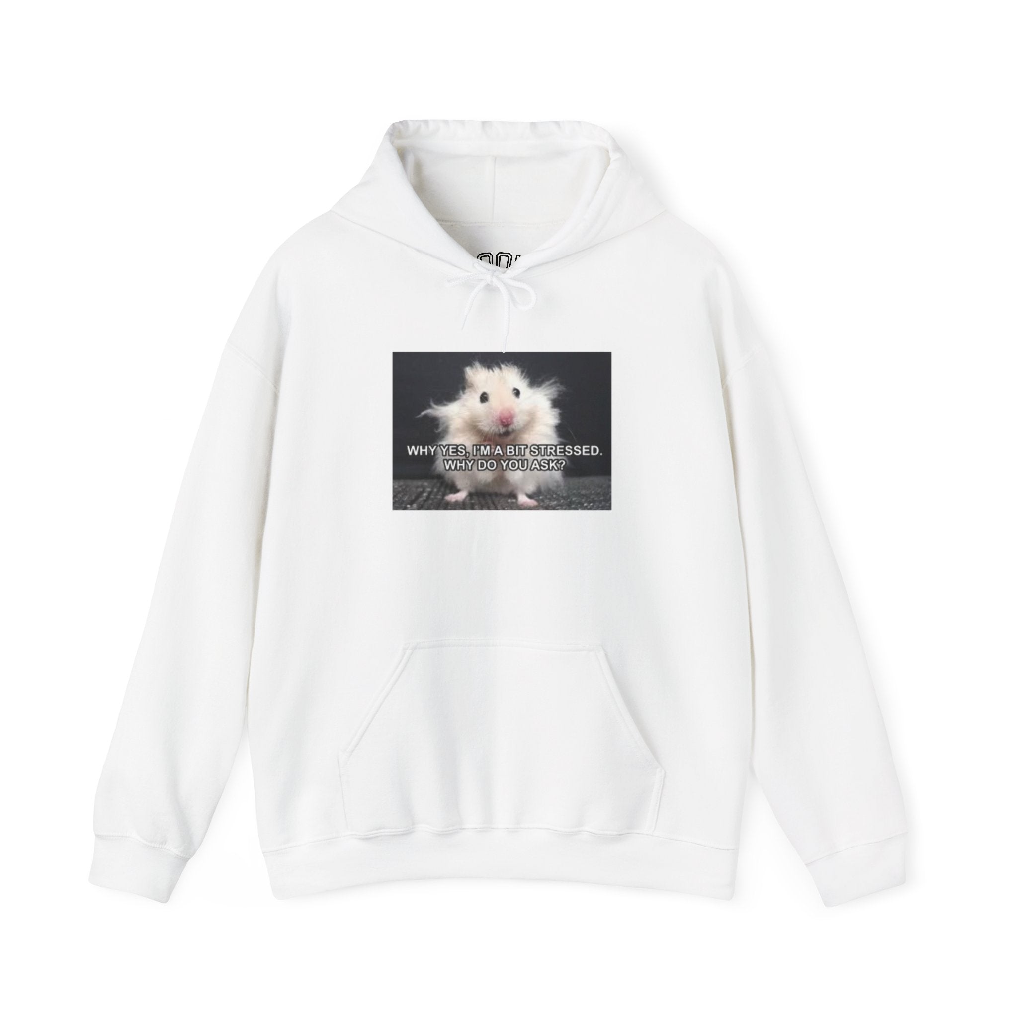 Hoodie — Cute Fluffy Hamster Graphic "Look Different" Pullover