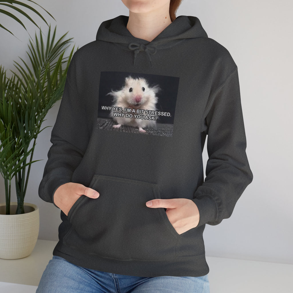 Hoodie — Cute Fluffy Hamster Graphic "Look Different" Pullover