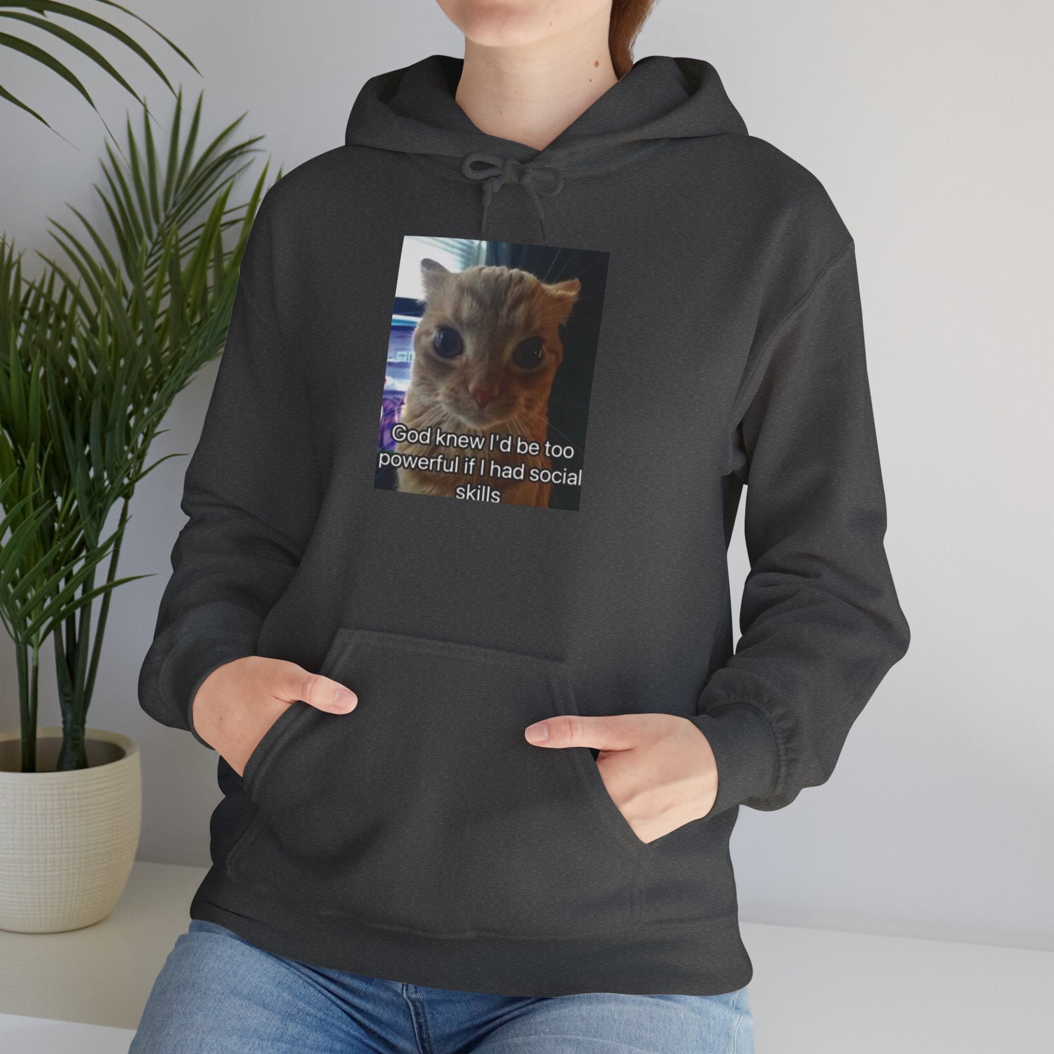 Hoodie — Funny Cat Meme ‘I’d Be Two Weeks Ahead If I Had Social Skills’ (Look Different Back)