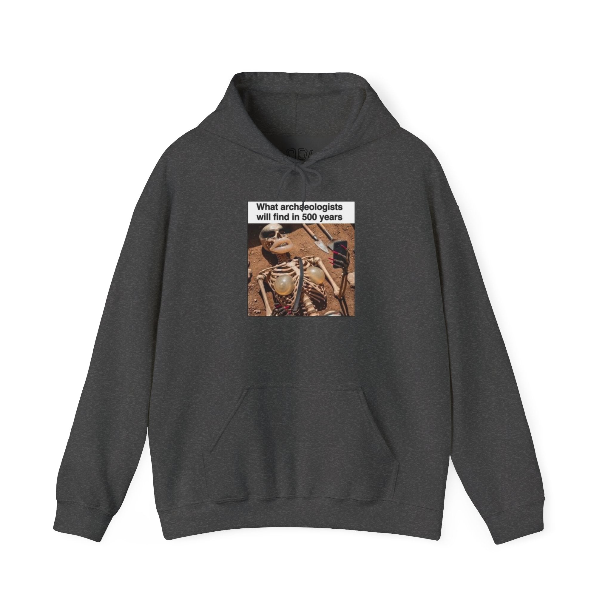 Hoodie — "What Arctic Ecologists Will Find in 500 Years" Vintage Cabin Photo | LOOK Different Back Print