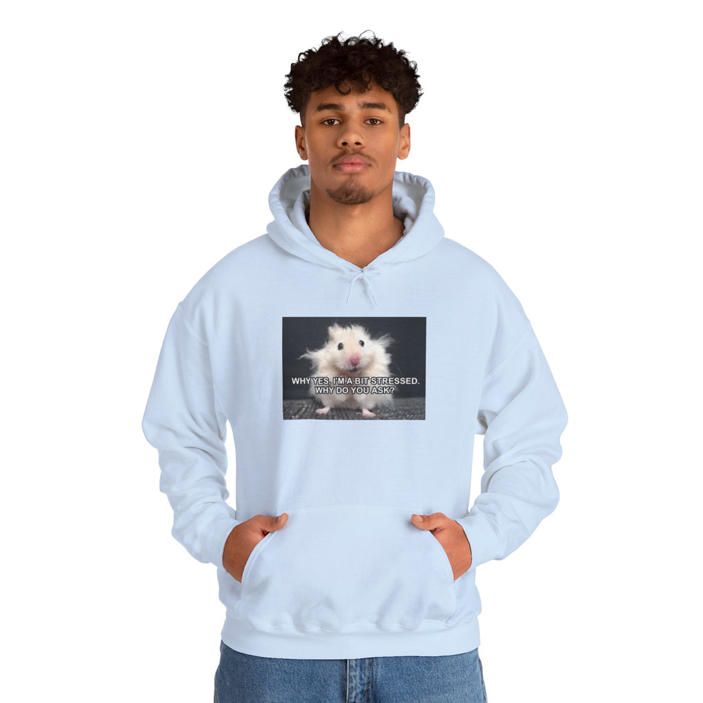 Hoodie — Cute Fluffy Hamster Graphic "Look Different" Pullover