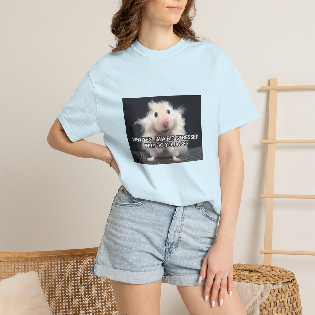 Cute Hamster Graphic Tee — "Why Yes, I’m Stressed. Whaddya Got?"