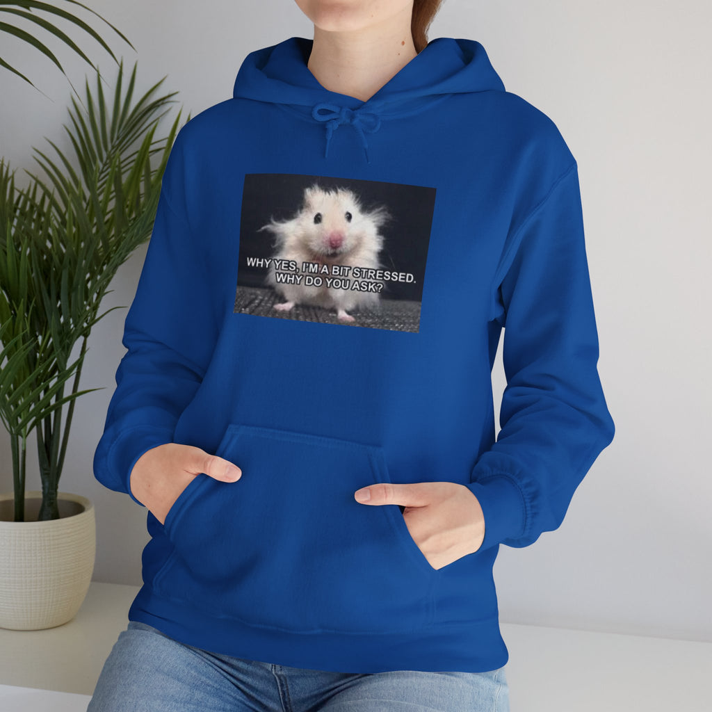 Hoodie — Cute Fluffy Hamster Graphic "Look Different" Pullover
