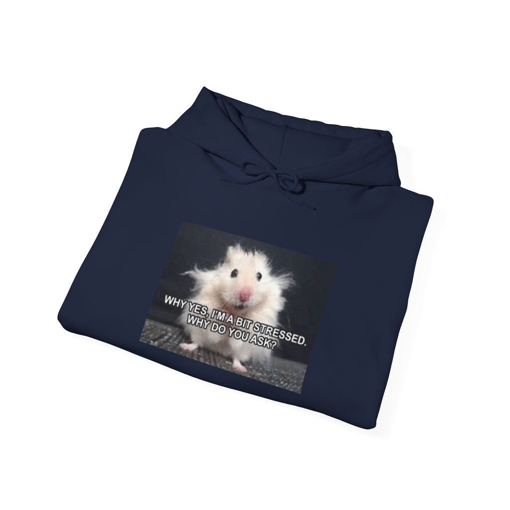 Hoodie — Cute Fluffy Hamster Graphic "Look Different" Pullover