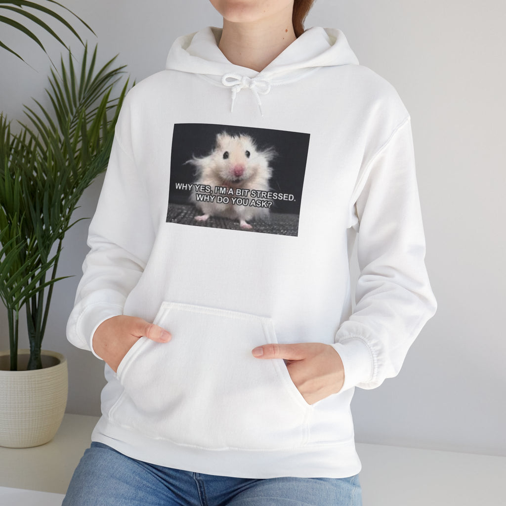 Hoodie — Cute Fluffy Hamster Graphic "Look Different" Pullover