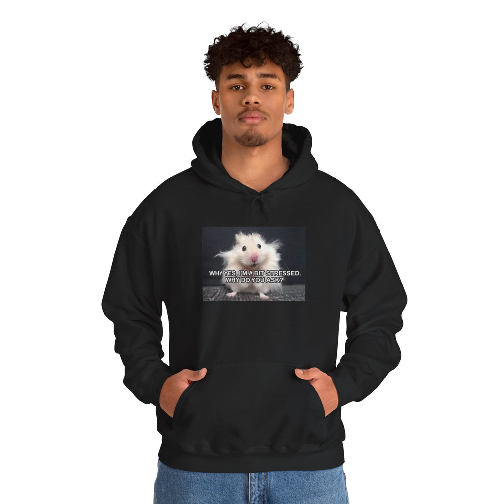 Hoodie — Cute Fluffy Hamster Graphic "Look Different" Pullover