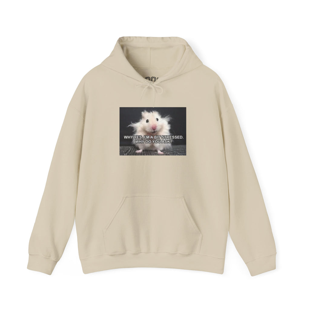 Hoodie — Cute Fluffy Hamster Graphic "Look Different" Pullover