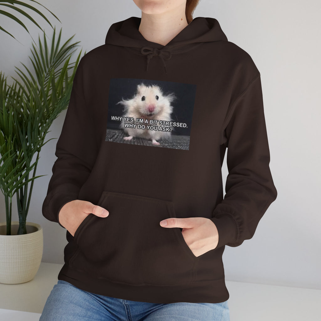 Hoodie — Cute Fluffy Hamster Graphic "Look Different" Pullover