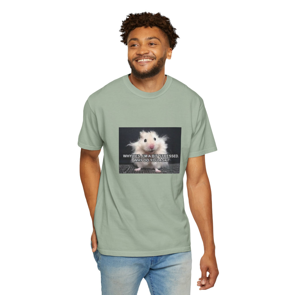 Cute Hamster Graphic Tee — "Why Yes, I’m Stressed. Whaddya Got?"