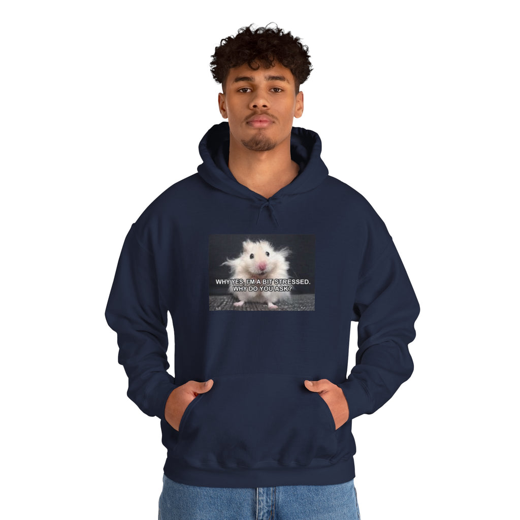Hoodie — Cute Fluffy Hamster Graphic "Look Different" Pullover
