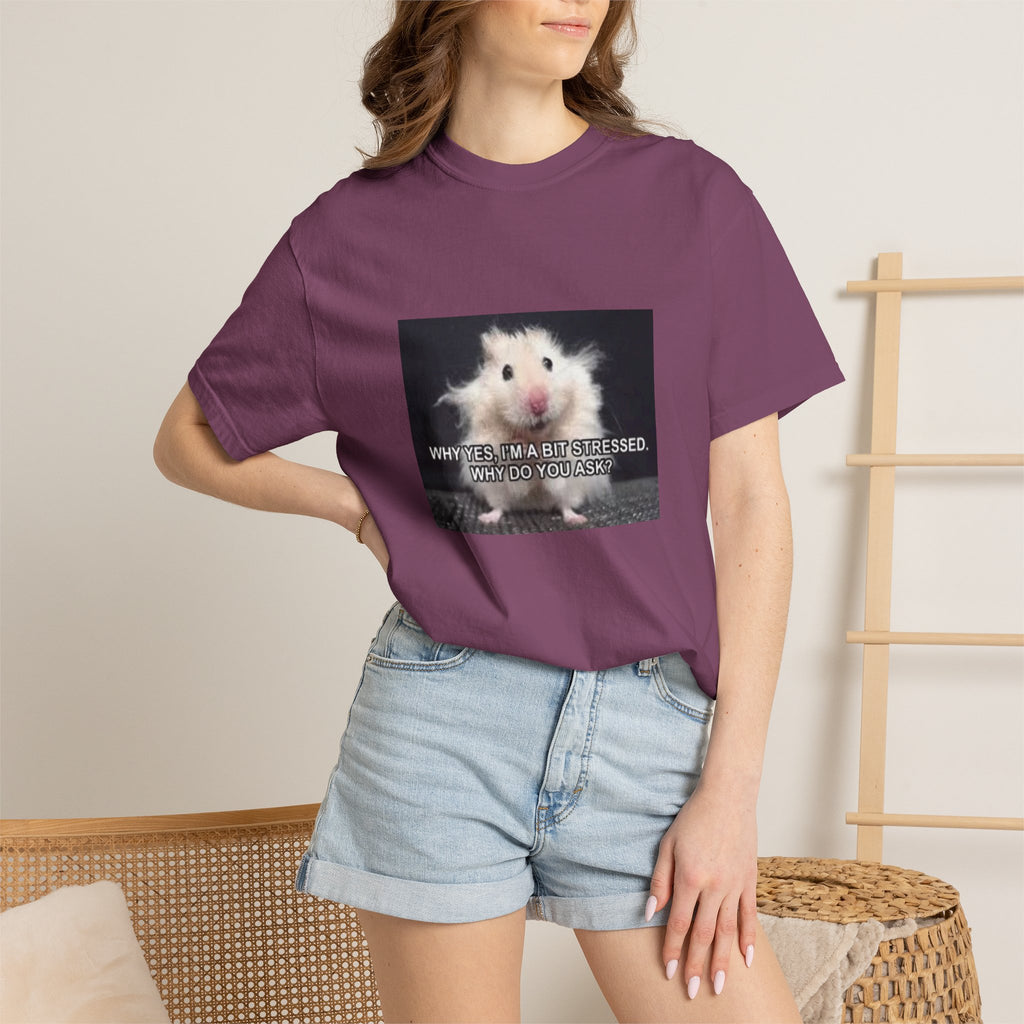 Cute Hamster Graphic Tee — "Why Yes, I’m Stressed. Whaddya Got?"