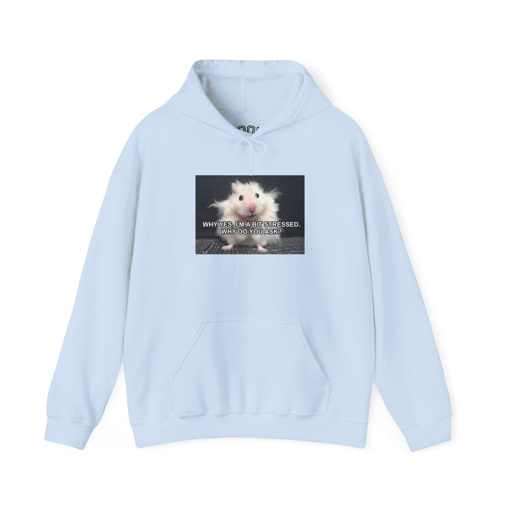 Hoodie — Cute Fluffy Hamster Graphic "Look Different" Pullover