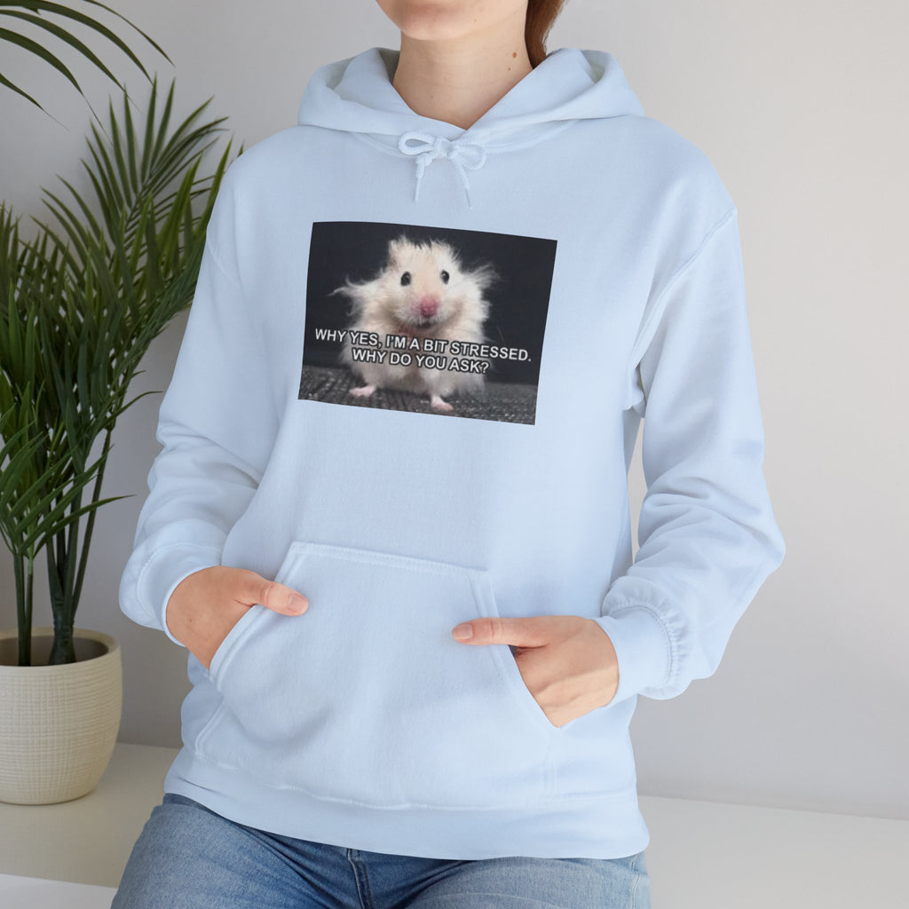 Hoodie — Cute Fluffy Hamster Graphic "Look Different" Pullover