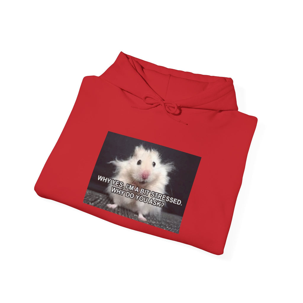 Hoodie — Cute Fluffy Hamster Graphic "Look Different" Pullover