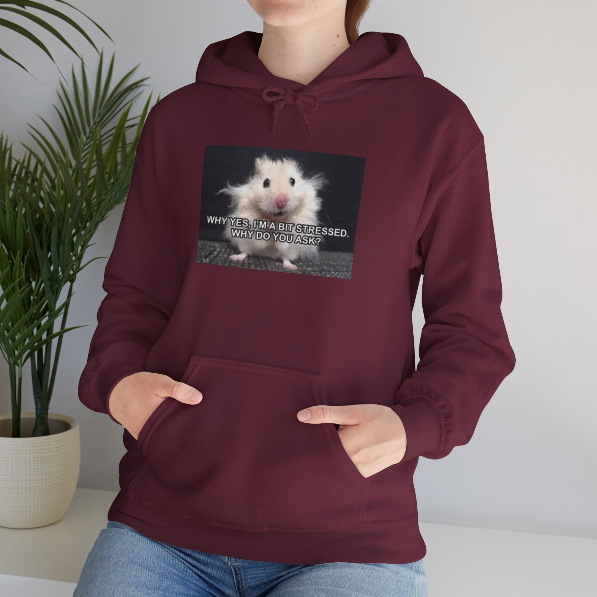 Hoodie — Cute Fluffy Hamster Graphic "Look Different" Pullover