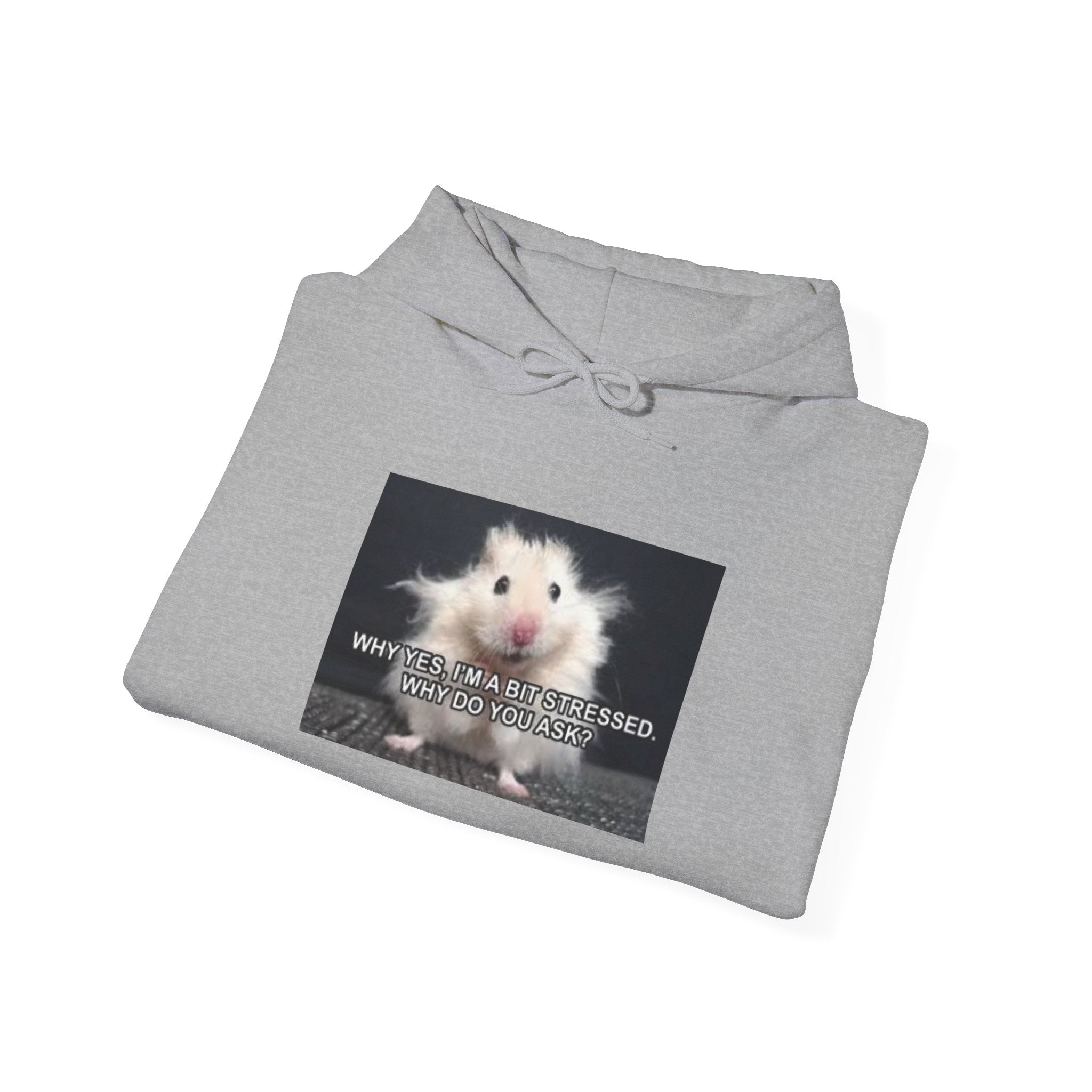 Hoodie — Cute Fluffy Hamster Graphic "Look Different" Pullover